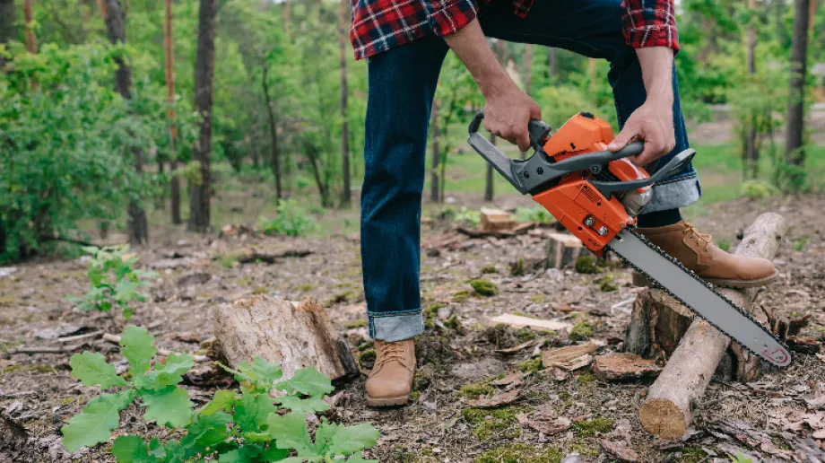 Zdjęcie ilustracyjne