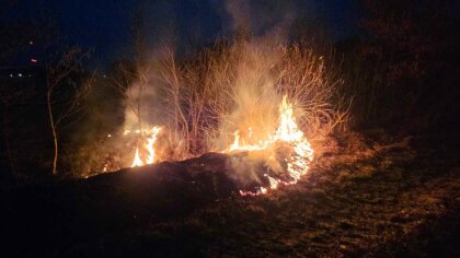 Ostrów Mazowiecka - W pobliżu Kosewa doszło do pożaru trawy. Dzięki sprawnej int