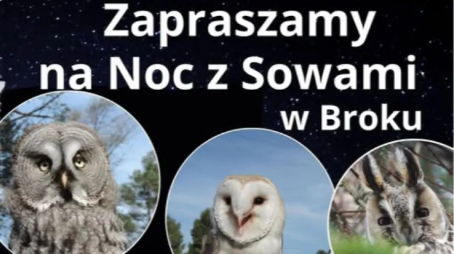 Fot. Urząd Miasta i Gminy Brok