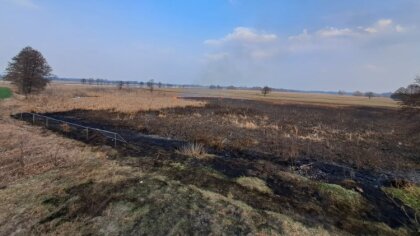 Ostrów Mazowiecka - W Prostyni doszło do rozległego pożaru traw i zarośli, który