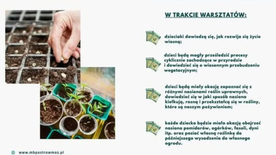 Fot. MBP Ostrów Mazowiecka