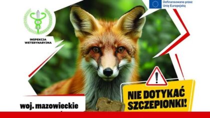 Ostrów Mazowiecka - Na Mazowszu zostanie przeprowadzona wiosenna akcja szczepień