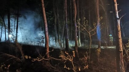 Ostrów Mazowiecka - W czwartek 1 maja, po godzinie 1.00 w miejscowości Grądy, wy