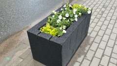 Ostrów Mazowiecka - Nieznani sprawcy znów dali o sobie znać. Z gazonów