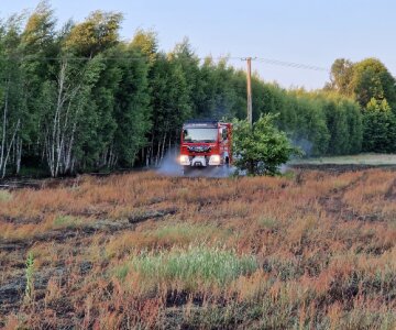 Ostrów Mazowiecka - Ogień zajął zarośla, a dym rozprzestrzeniał się szybko. Stra