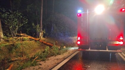 Ostrów Mazowiecka - W nocy niebo nad powiatem ostrowskim rozdarły grzmoty, a sil
