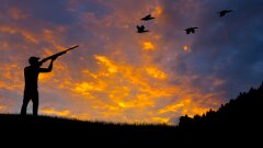 Ostrów Mazowiecka - Polski Związek Łowiecki ujawnił szokujące nieprawi