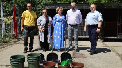 Ostrów Mazowiecka - Bezdomne psy z Ostrowi Mazowieckiej mogą liczyć na lepsze wa