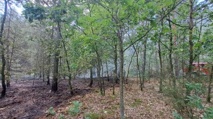 Ostrów Mazowiecka - Na granicy powiatów ostrowskiego i węgrowskiego doszło do po