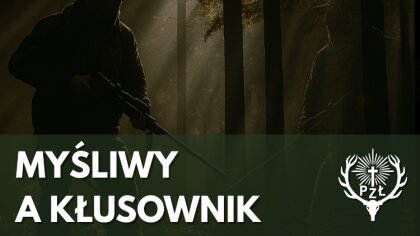Ostrów Mazowiecka - Letni poranek. Idziesz z psem, spacerujesz wzdłuż pola. Na s