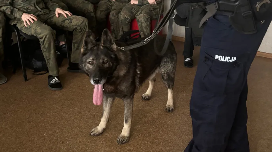 Fot. KPP Ostrów Mazowiecka