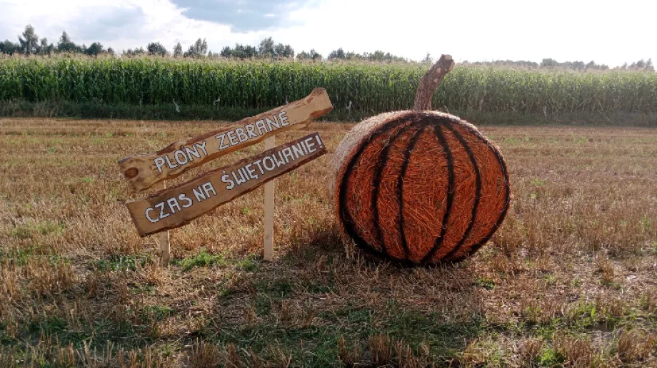 Fot. Gmina Ostrów Mazowiecka