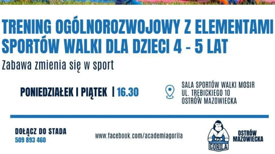 Fot. Academia Gorila