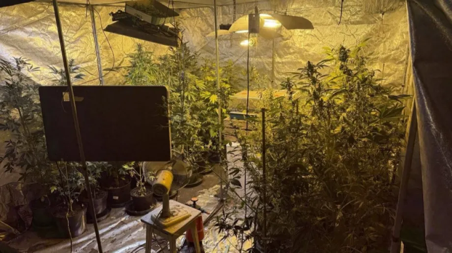 Fot. Policja Świętokrzyska