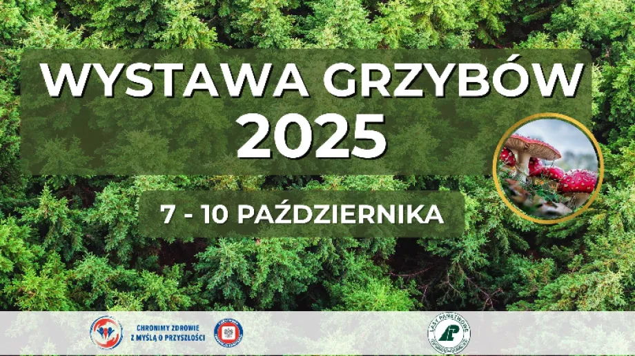 Fot. PSSE Ostrów Mazowiecka