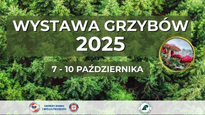 Ostrów Mazowiecka - Powiatowa Stacja Sanitarno – Epidemiologiczna w Ostrowi Mazo