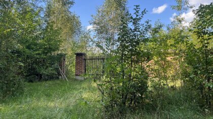 Ostrów Mazowiecka - Wiceprzewodnicząca Rady Miasta Ostrów Mazowiecka Anna Krajew