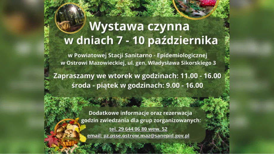 Fot. PSSE Ostrów Mazowiecka