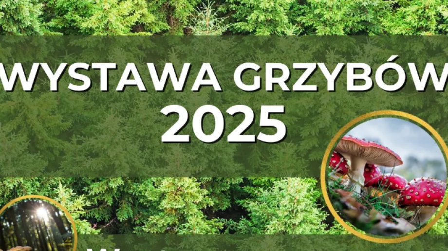 Fot. PSSE Ostrów Mazowiecka