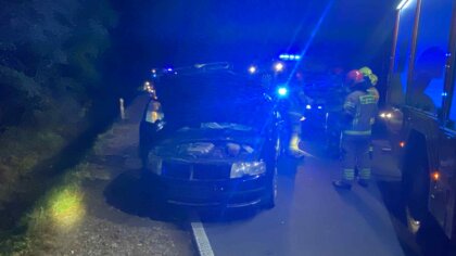 Ostrów Mazowiecka - Zwierzę leśne nagle wbiegło na drogę, a samochód osobowy z d