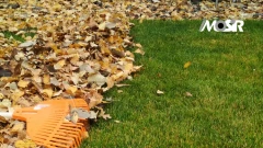 Szukają konserwatora. To może praca dla Ciebie?