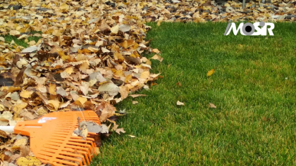 Ostrów Mazowiecka - Miejski Ośrodek Sportu i Rekreacji w Ostrowi Mazowieckiej og