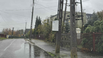 Ostrów Mazowiecka - Zgłosił się do nas czytelnik, który zauważył niepokojącą syt