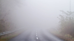 Ostrów Mazowiecka - Początek grudnia to nie tylko chłód i brak słońca,