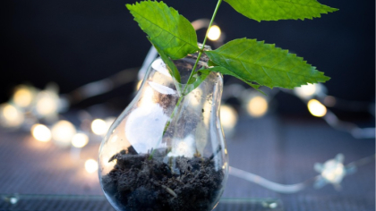 Ostrów Mazowiecka - Rosnące znaczenie obszaru ESG sprawia, że przedsiębiorstwa c