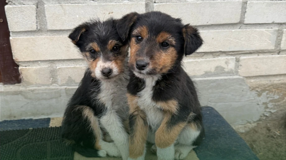 Fot. Gmina Małkinia Górna