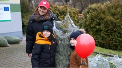 Ponad 200 choinek trafiło do mieszkańców Ostrowi! Ekologiczna akcja zakończona sukcesem! …