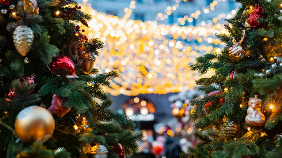 Zdjęcie ilustracyjne