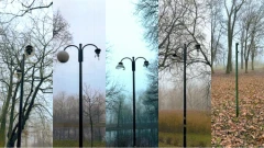 Jak w kabarecie. Od ponad roku trwa przepychanka o lampy i słupki w parku przy stawie. Ko…