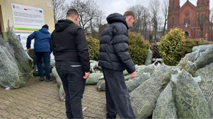 Ostrów Mazowiecka - Pachnące, zielone choinki czekają na mieszkańców Ostrowi i p