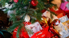 Jak mieszkańcy Ostrowi Mazowieckiej obchodzą Boże Narodzenie?