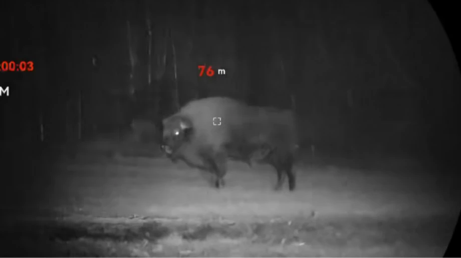 Fot. kadr z filmu Gmina Stary Lubotyń