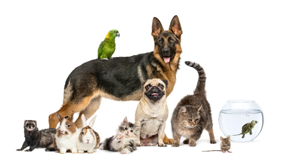 Zdjęcie ilustracyjne