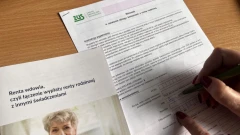 Podsumowanie renty wdowiej w 2025 roku - ponad milion wypłaconych świadczeń