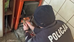 Dwa zgłoszenia, dwa ludzkie dramaty. Policjanci zareagowali natychmiast