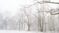 Smog nad regionem! Ostrzeżenie dla powiatu ostrowskiego