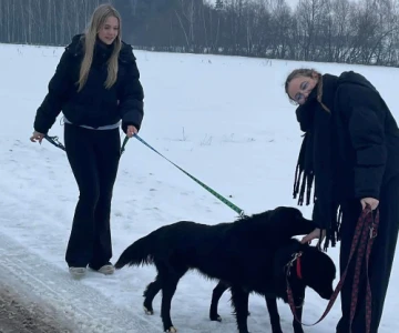 Wielkie serca uczniów Zespołu Szkół nr 2 w Ostrowi Mazowieckiej po raz kolejny p