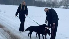 Uczniowie "Ekonomika" wsparli Schronisko "Canis" w Kruszewie