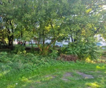 Przy oddziale żłobkowym przy ul. Partyzantów w Ostrowi Mazowieckiej powstanie no