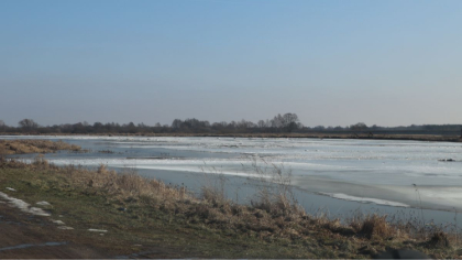 Ostrów Mazowiecka - Stan wody na rzece Bug nadal utrzymuje się w strefie stanów 