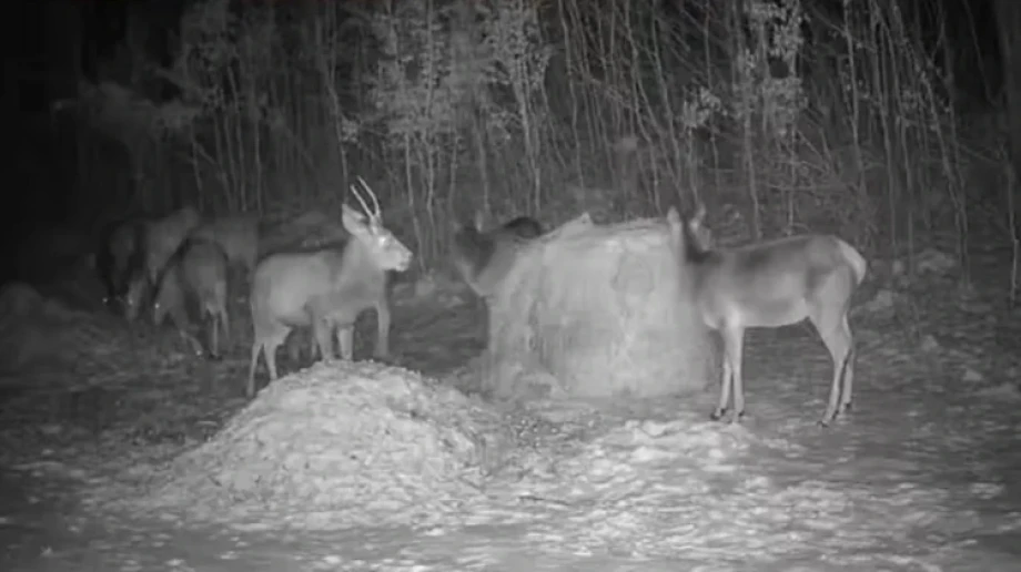 Fot. FB Zarząd okręgowy PZŁ w Ostrołęce