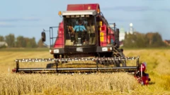 Kombajny - jak działają i dlaczego są tak ważne w rolnictwie?