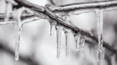 Gołoledź i śnieg w regionie. Uwaga na drogach!