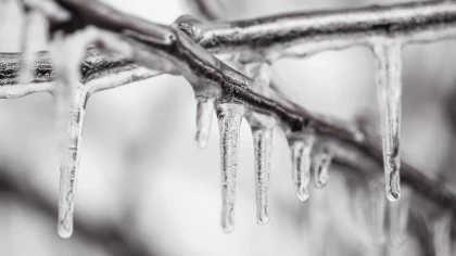Ostrów Mazowiecka - Idzie ślisko i biało. Ostrzeżenie IMGW dla naszego regionu: 