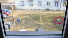 Strzały przy jednej z ostrowskich ulic. Co tam się wydarzyło?