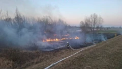 Groźny pożar przy rzece. Płomienie szybko objęły nieużytki w Boreczku (zdjęcia)